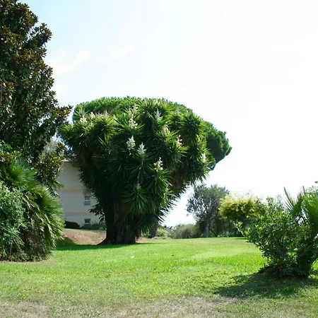 Апартаменти Sea View & Gardens In