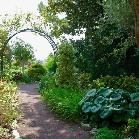 Sea View & Gardens In Daire *