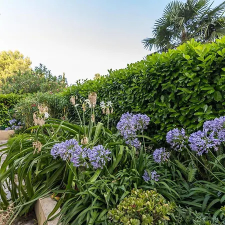 Sea View & Gardens In *
