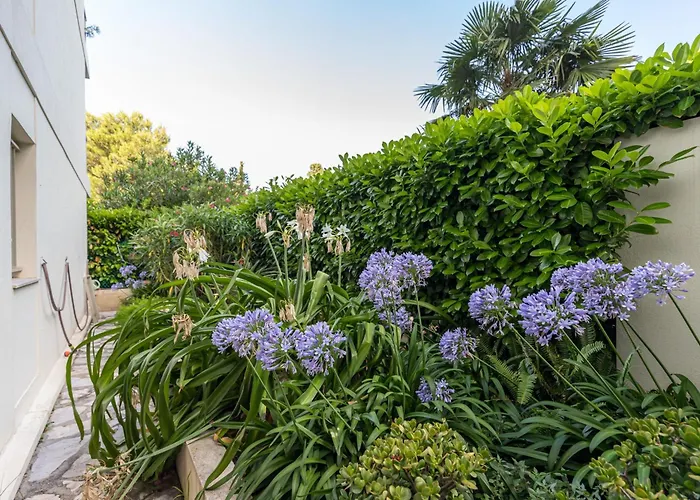 Sea View & Gardens In *